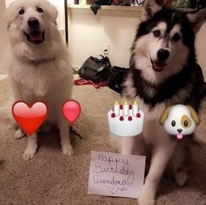 Meet your Posher, Wanda